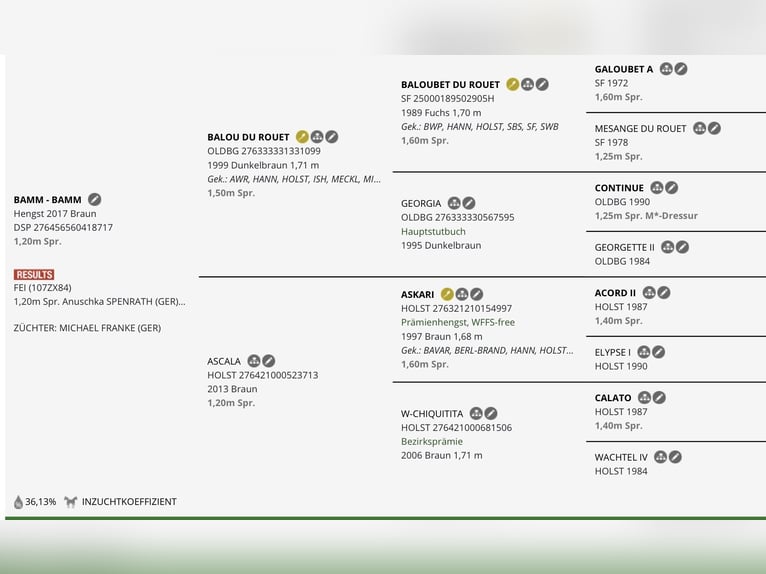 Koń holsztyński Klacz 5 lat 172 cm Skarogniada in Neuried