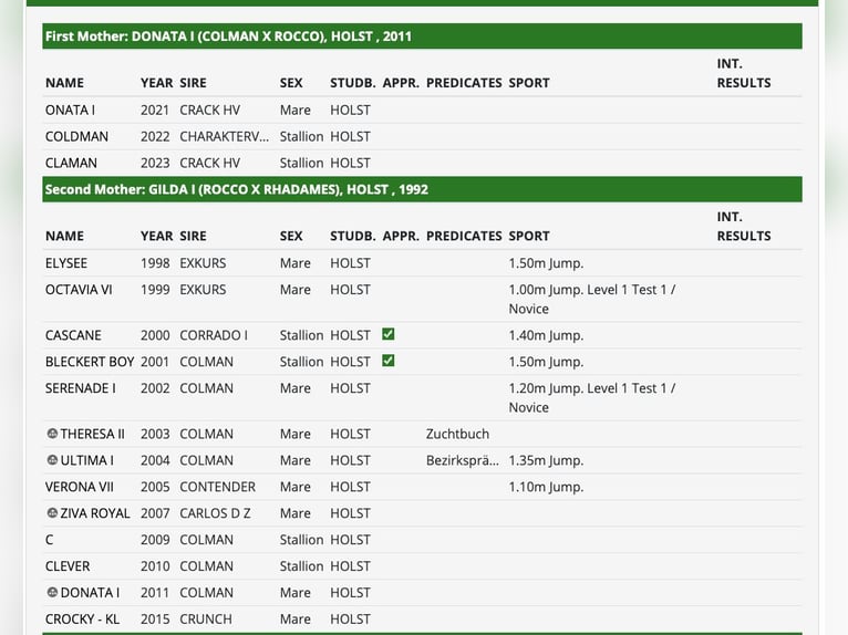 Koń holsztyński Ogier 3 lat 165 cm Gniada in Bargenstedt