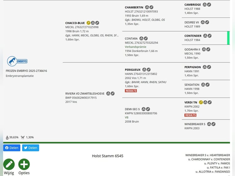 Koń holsztyński Ogier Źrebak (01/2026)  in Zalasewo
