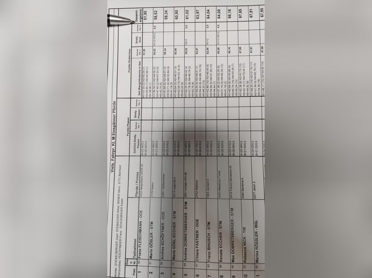 Koń lipicański Wałach 8 lat 165 cm Siwa w hreczce in Lembach