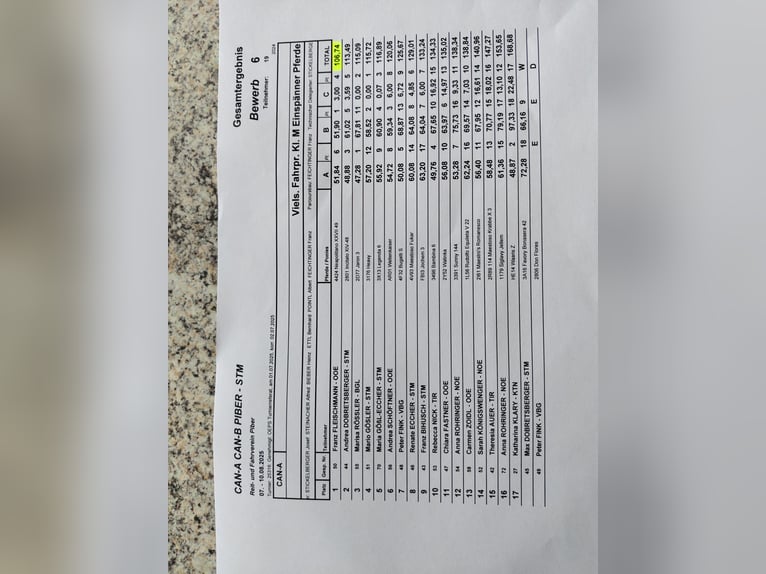 Koń lipicański Wałach 8 lat 165 cm Siwa w hreczce in Lembach
