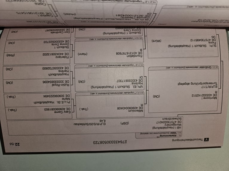 Koń oldenburski Klacz 2 lat 170 cm Siwa in Carlsberg