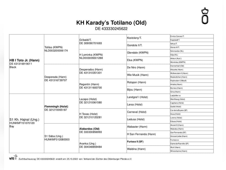 Koń oldenburski Ogier 3 lat 167 cm Ciemnogniada in Tass