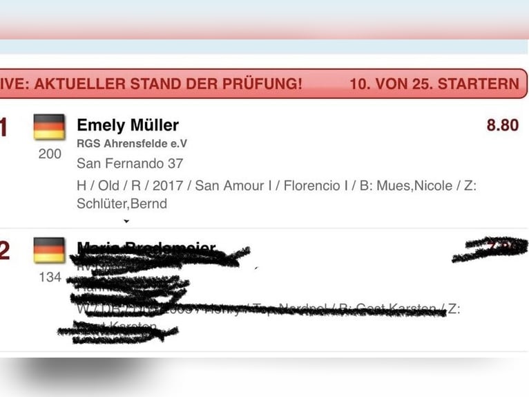 Koń oldenburski Wałach 8 lat 175 cm Kara in Ahrensburg