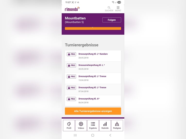 Koń trakeński Wałach 15 lat 175 cm Gniada in Erolzheim