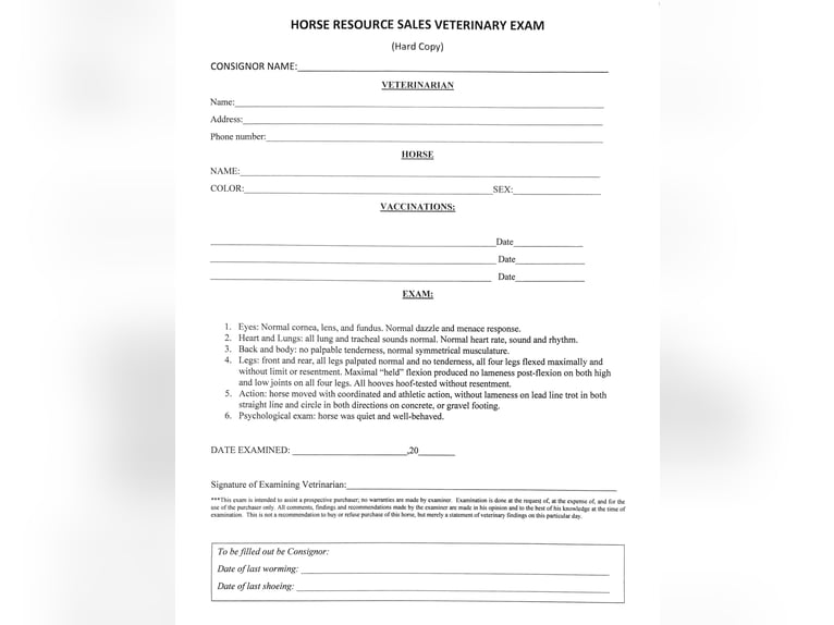 Konie fryzyjskie Wałach 6 lat 160 cm Kara in Waco TX