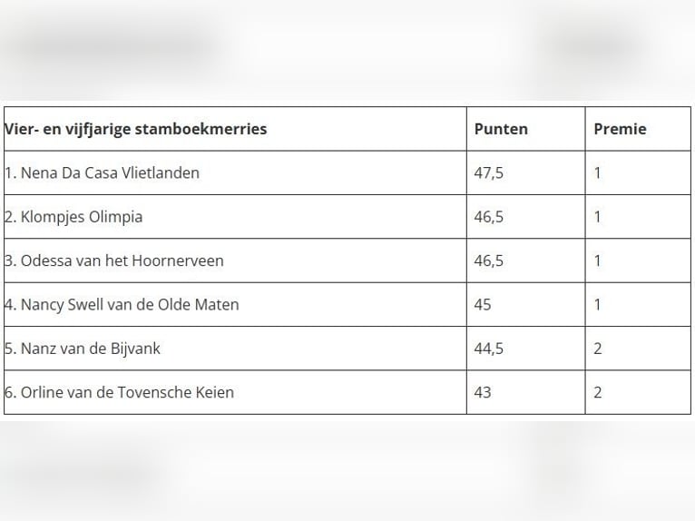 Kuc Fell Klacz 17 lat 138 cm Kara in Wuppertal