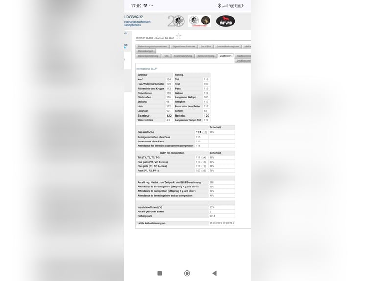 Kuc islandzki Klacz 3 lat 150 cm Kasztanowata in Zerf