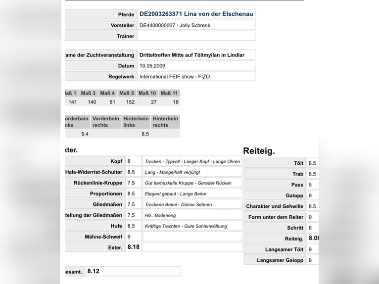 Kuc islandzki Ogier 2 lat 140 cm Kasztanowata in Hohenstein