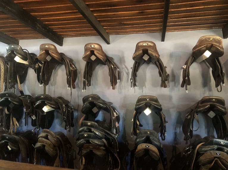 Kuc polo Klacz 9 lat 152 cm Siwa in General Belgrano, Provincia Buenos Aires