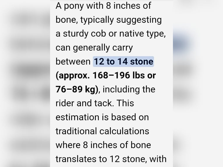 Kuc walijski sekcji C Klacz 11 lat 127 cm Kara in Rotherham