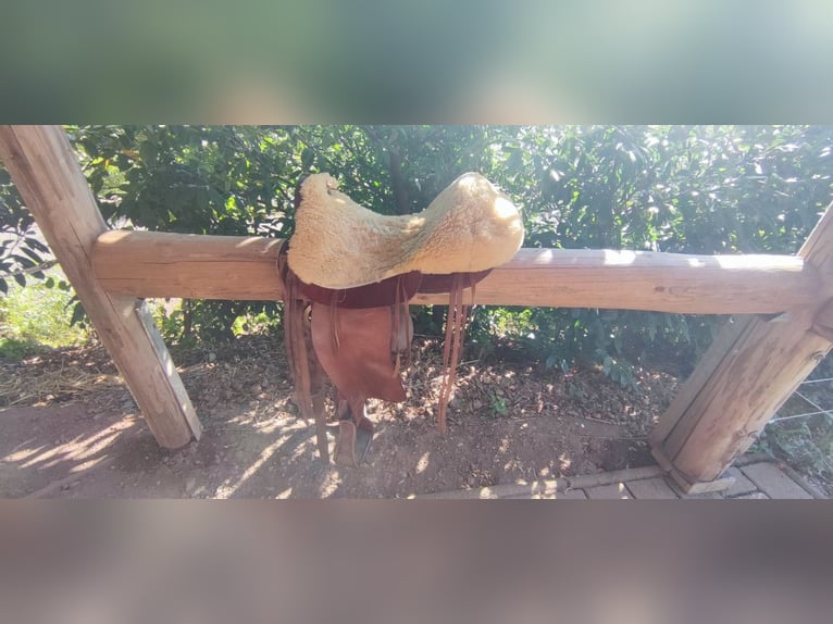 Kuc walijski sekcji C Klacz 13 lat 140 cm Kasztanowata in SteinachWelschensteinach