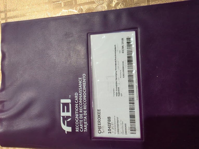 KWPN Caballo castrado 19 años Castaño in Budapest