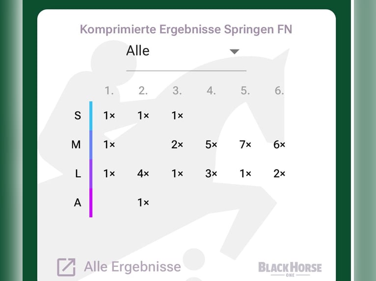 KWPN Gelding 12 years 16,2 hh Chestnut in Bremerv&#xF6;rde