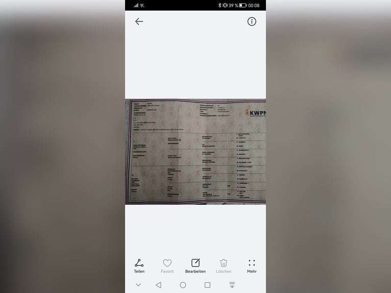 KWPN Giumenta 9 Anni 170 cm Sauro in Aidenbach