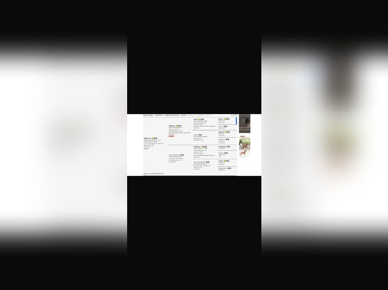 KWPN Jument 1 Année 165 cm Noir in Vaals