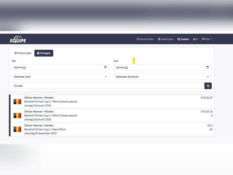 KWPN Mare 14 years 15,3 hh  in GROTE-BROGEL