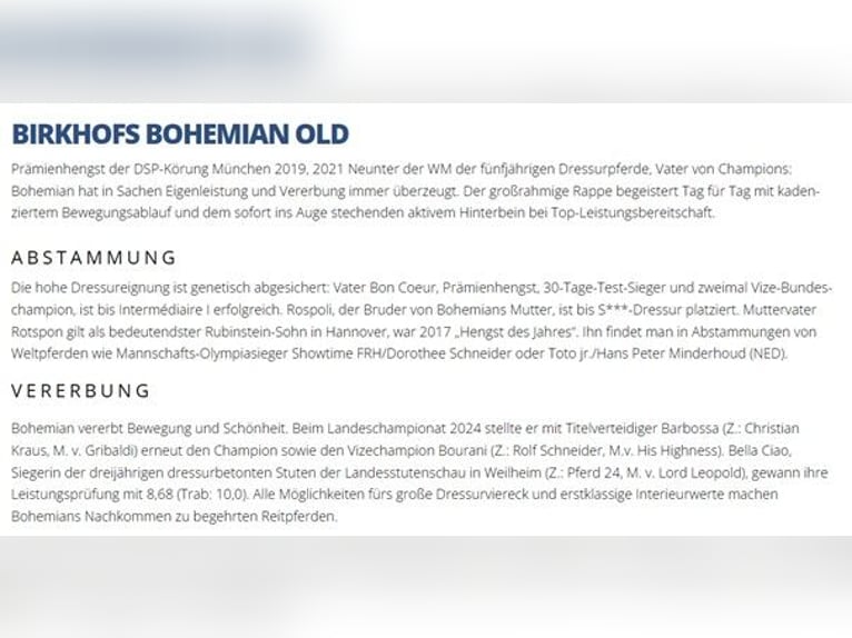 KWPN Merrie 10 Jaar 168 cm Zwartbruin in Dinkelsb&#xFC;hl