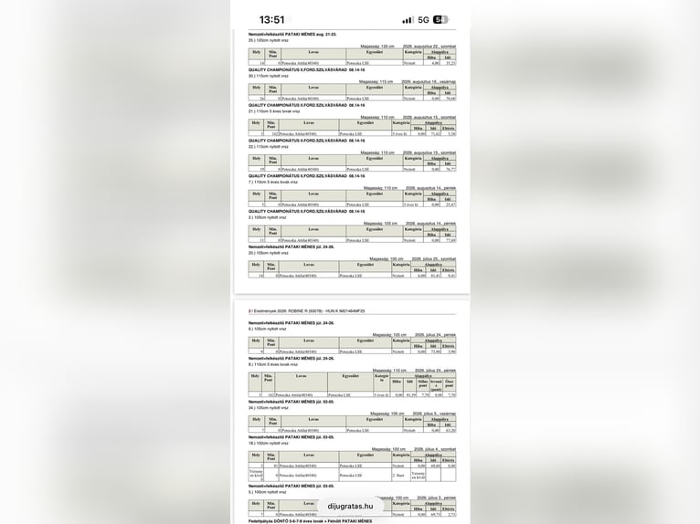 KWPN Merrie 5 Jaar 174 cm Roodbruin in Békéscsaba