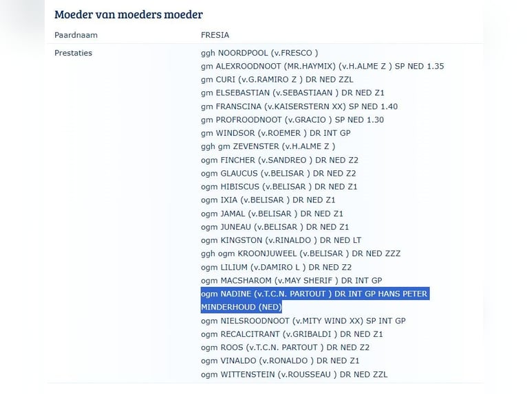 KWPN Ogier  Kasztanowata in Heinkenszand