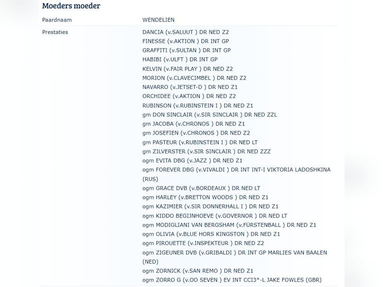KWPN Semental  Alazán in Heinkenszand