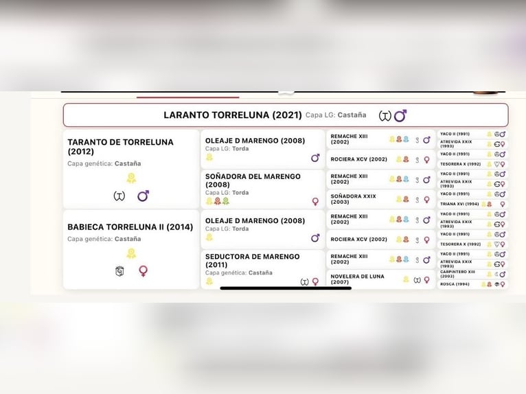 LARANTO TORRELUNA PRE Ogier Ciemnogniada in Andujar
