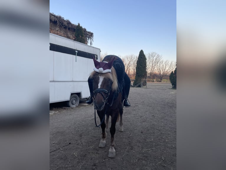 Larissa