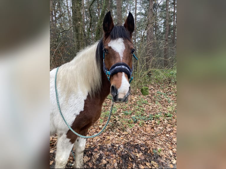 Lea Meiners 14 Jahre