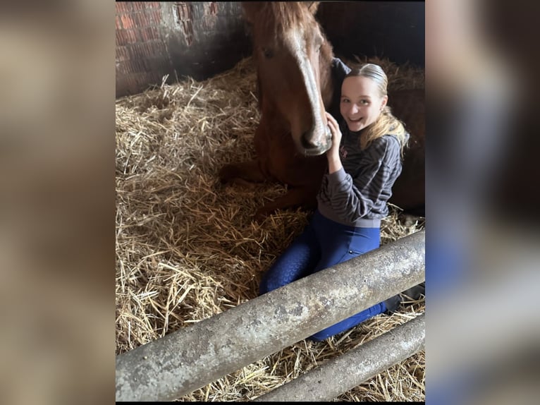 Lea Meiners 14 Jahre