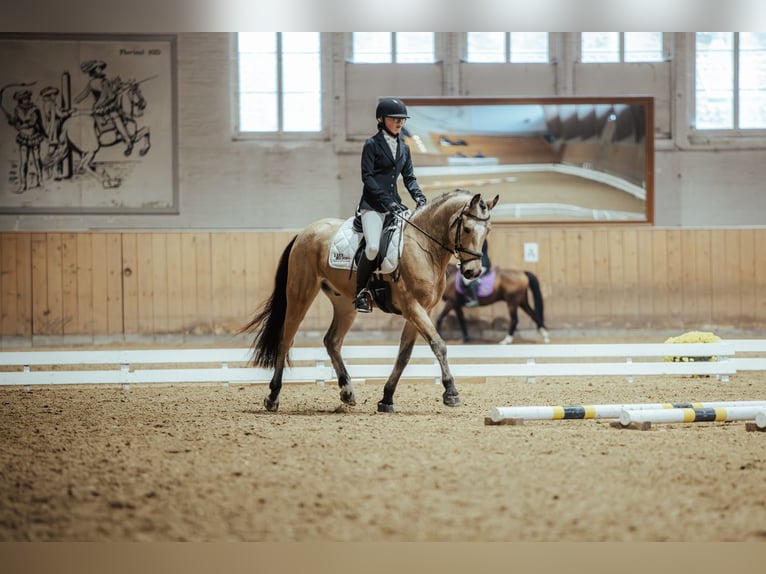 Leidenschaftliche Reiterin sucht Sportpartner