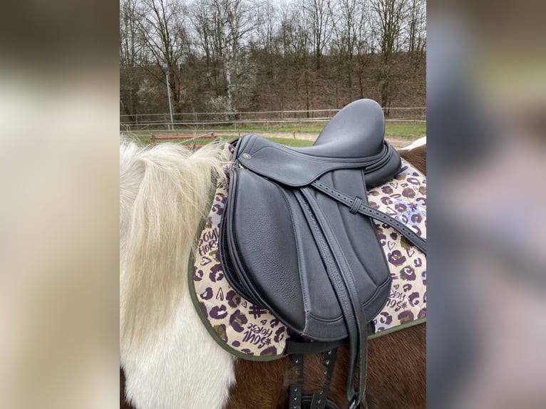 Lewitzer Mestizo Caballo castrado 7 años 135 cm Pío in Teltow-Ruhlsdorf