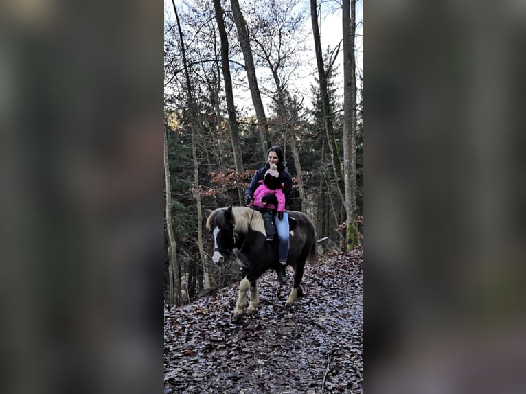 Lewitzer Jument 20 Ans 129 cm Pinto in Bad Überkingen