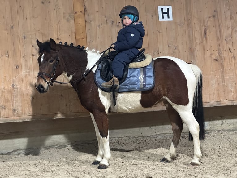 Lewitzer Croisé Jument 8 Ans 128 cm Pinto in Riedlingen
