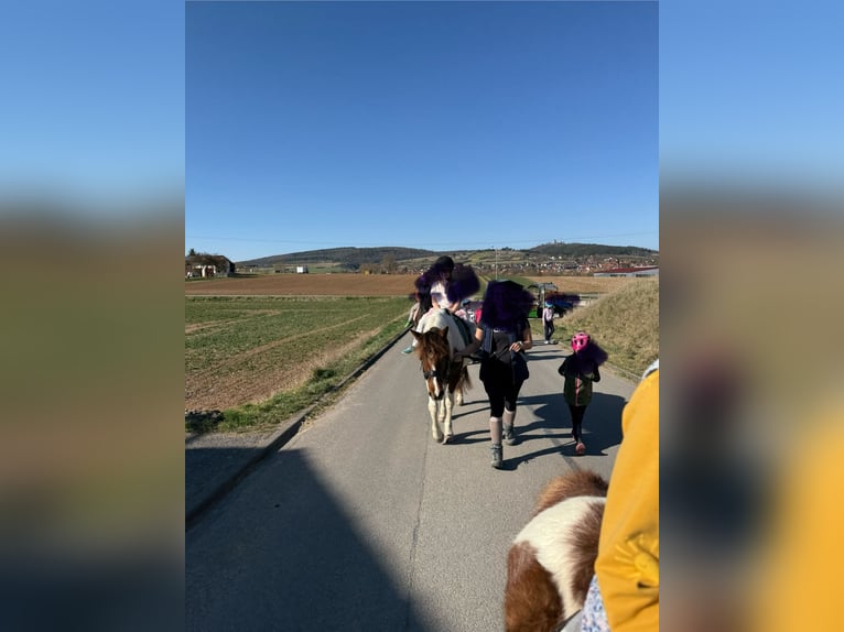 Lewitzer Mare 6 years 14,1 hh Pinto in Ostheim vor der Rh&#xF6;n