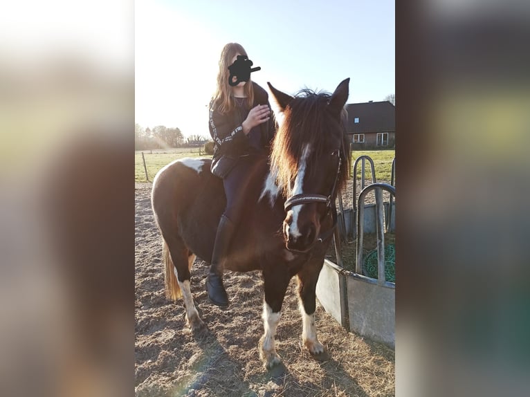 Lewitzer Merrie 10 Jaar 138 cm Tobiano-alle-kleuren in LilienthalLilienthal