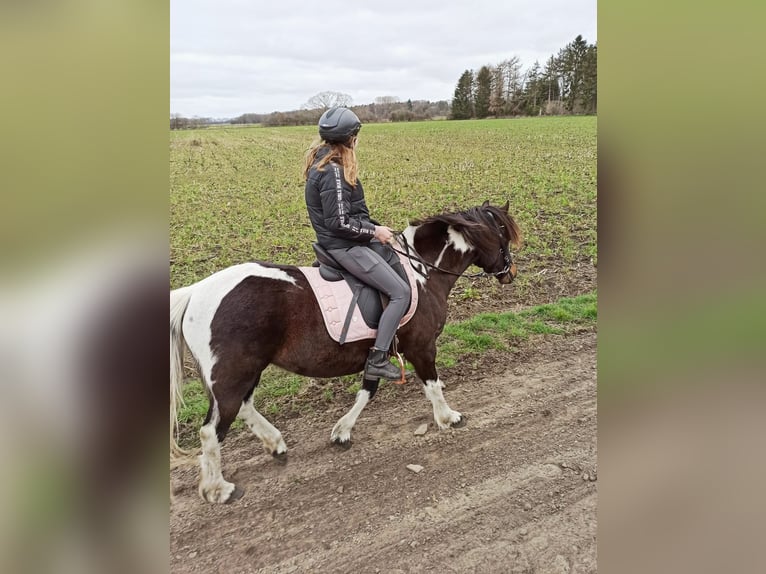 Lewitzer Merrie 10 Jaar 138 cm Tobiano-alle-kleuren in LilienthalLilienthal