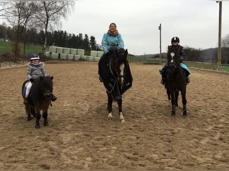 Liebevolle Familie sucht Pferd zu Verfügung in nrw (Wuppertal +150km)