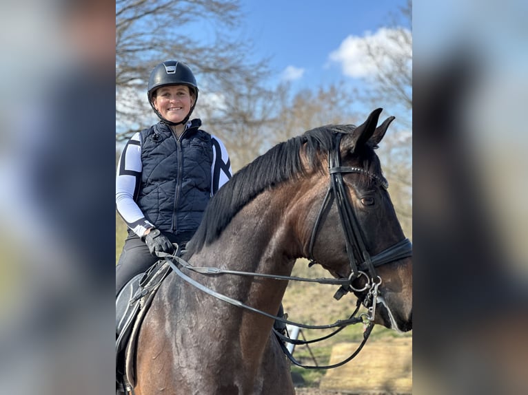 Liebevolle und erfahrene Reiterin sucht Reitbeteiligung