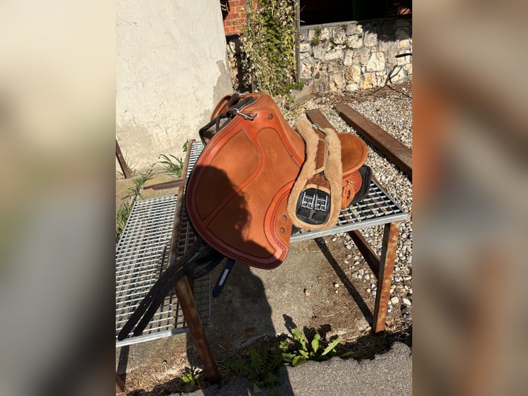 Lusitanien Hongre 11 Ans 155 cm Cremello in Wei&#xDF;enhorn