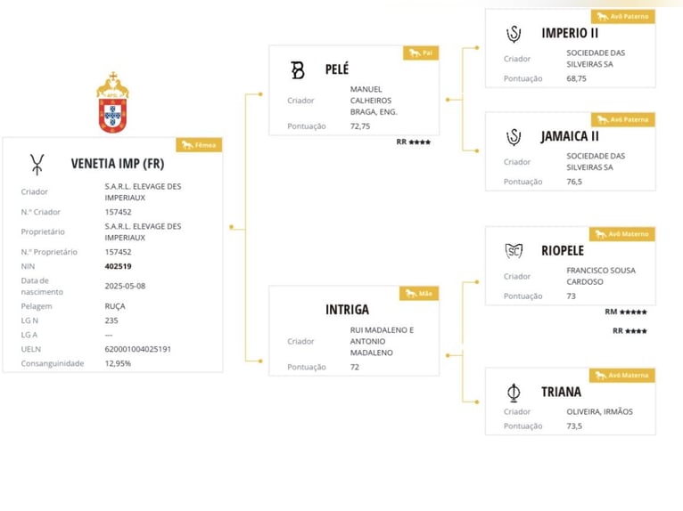 Lusitano Giumenta 1 Anno 145 cm Grigio ferro in Arles