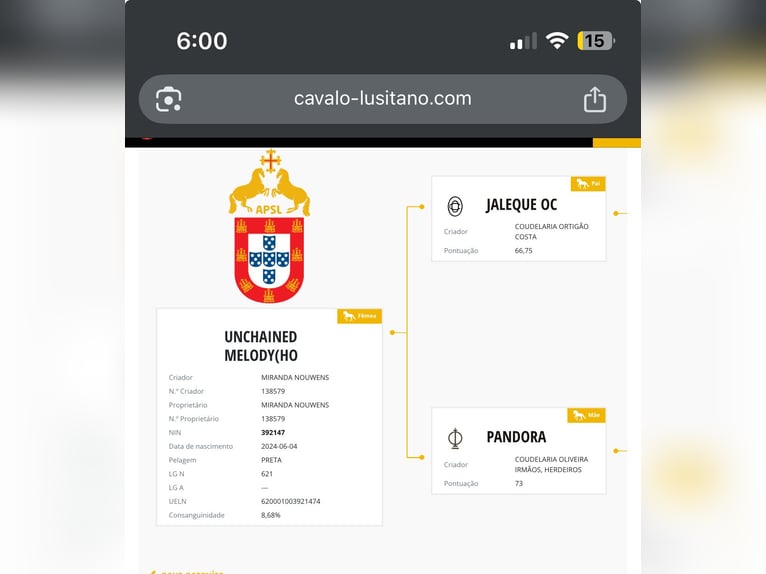 Lusitano Klacz 1 Rok 160 cm Ciemnogniada in Havl&#xED;&#x10D;k&#x16F;v Brod