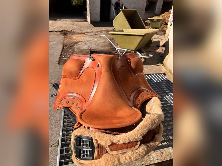 Lusitano Ruin 11 Jaar 155 cm Cremello in Wei&#xDF;enhorn