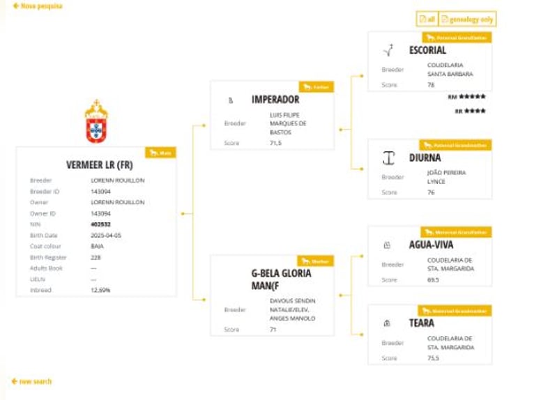 Lusitano Stallion Foal (04/2025) 17 hh Dun in Pleyben Lusitano Stallion Foal (04/2025) 17 hh Dun in Pleyben