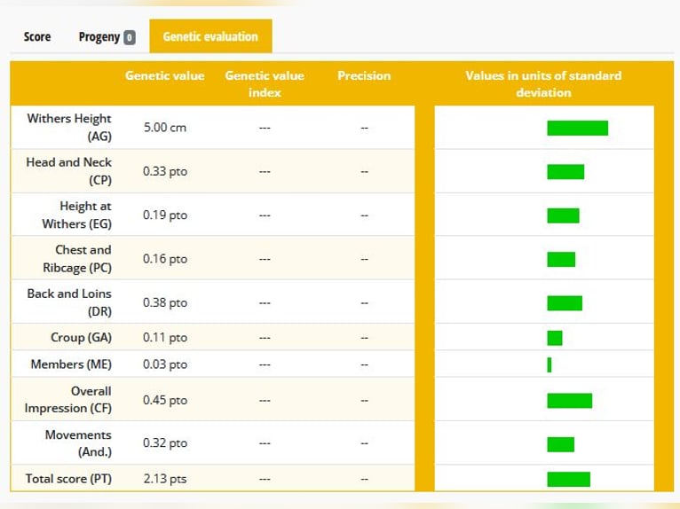 Lusitano Stallion Foal (04/2025) 17 hh Dun in Pleyben Lusitano Stallion Foal (04/2025) 17 hh Dun in Pleyben