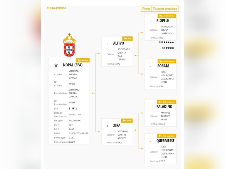 Lusitanos Stute Fohlen (03/2025) 135 cm Cremello in Guérande Lusitanos Stute Fohlen (03/2025) 135 cm Cremello in Guérande