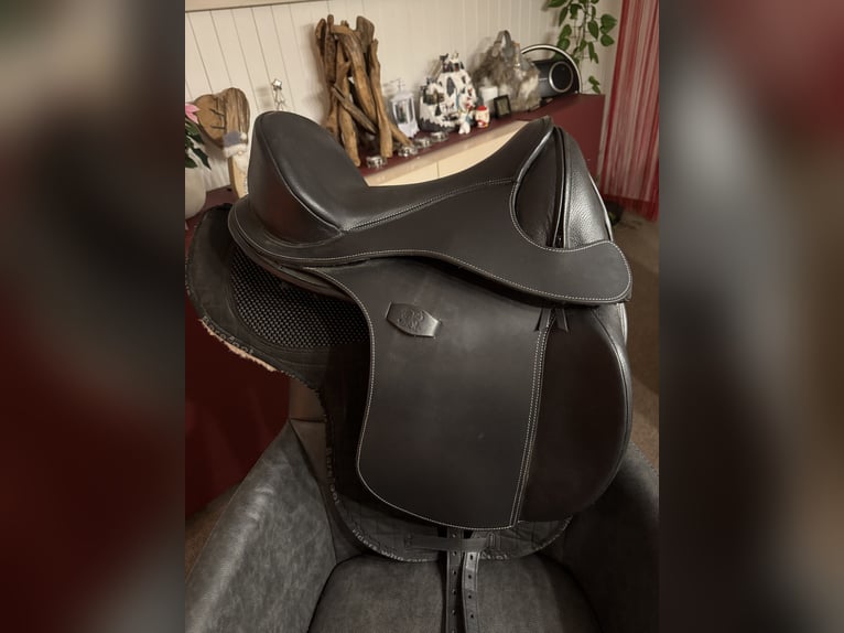 Lusitanos Wallach 5 Jahre 163 cm Apfelschimmel in Thalheim AG