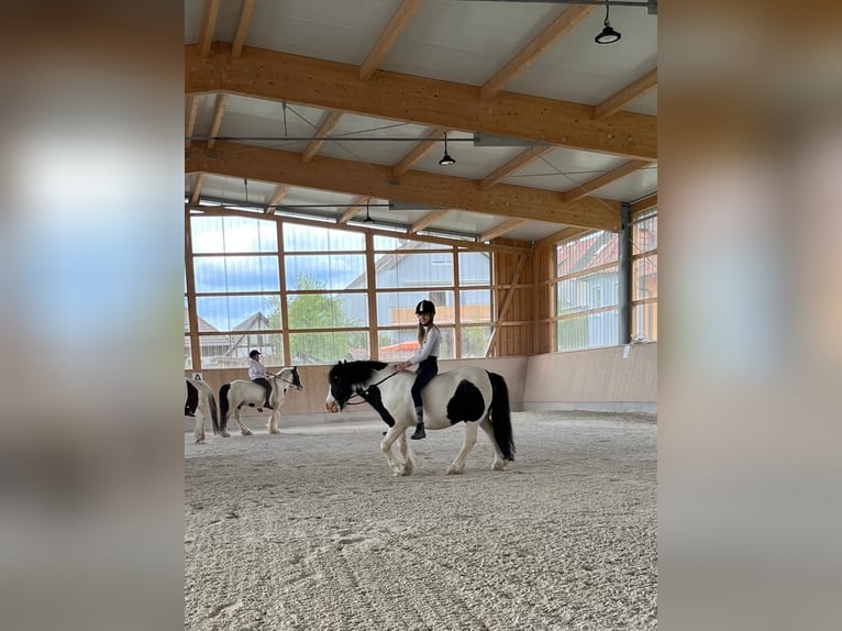 Mädchen mit viel Reiterfahrung sucht eine Reitbeteiligung 