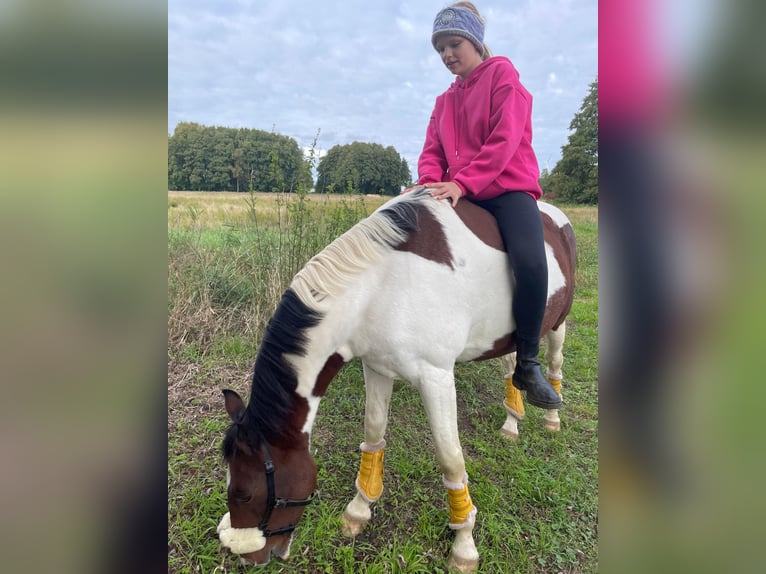 Mädchen sucht Reitbeteildigung
