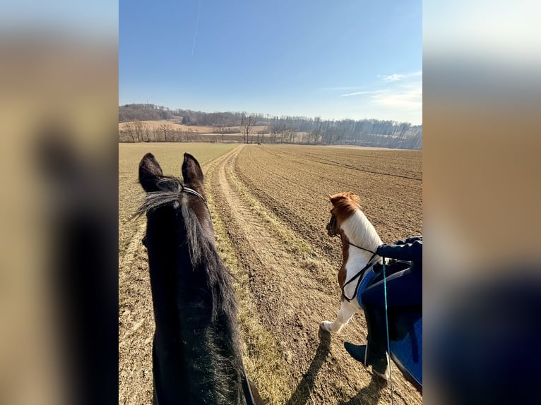 Mama-Tochter Duo sucht...