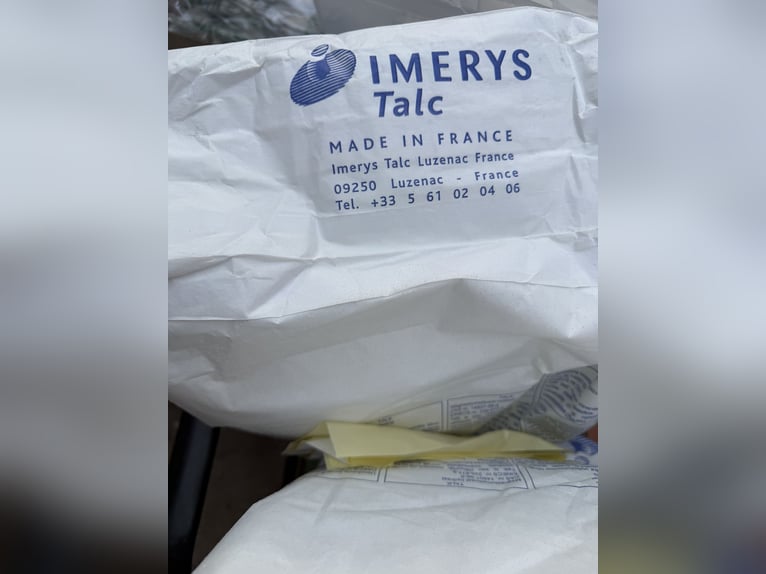 Mangalarga Marchador Hengst 1 Jahr 155 cm Rappschimmel in Neuenkirchen